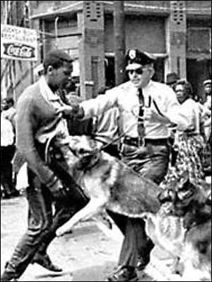 civil rights Pictures, Images and Photos